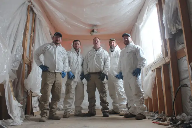 mold removal professionals stuart fl